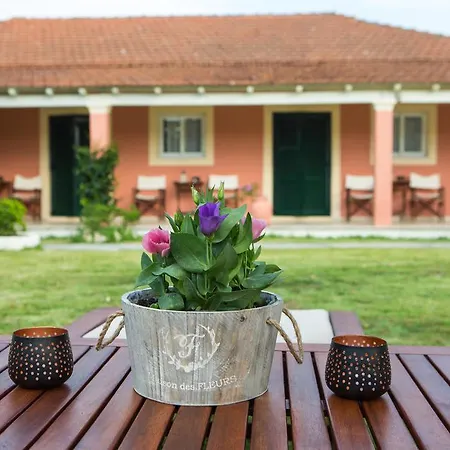 Nikodimos Garden * Agios Georgios (Corfu)