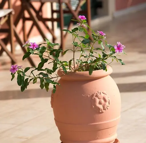 Nikodimos Garden Апартаменты *