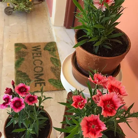 Nikodimos Garden Studios *