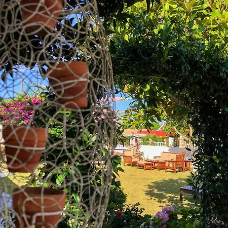 Apartamento Nikodimos Garden *