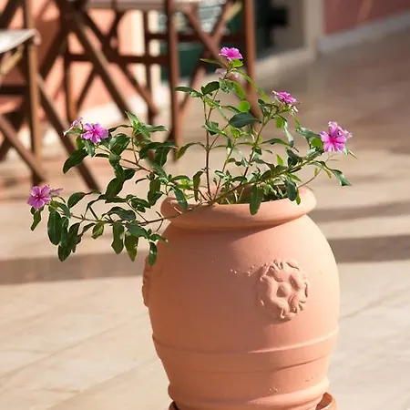 Nikodimos Garden Apartamento *