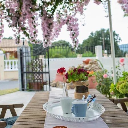 Apartamento Nikodimos Garden *